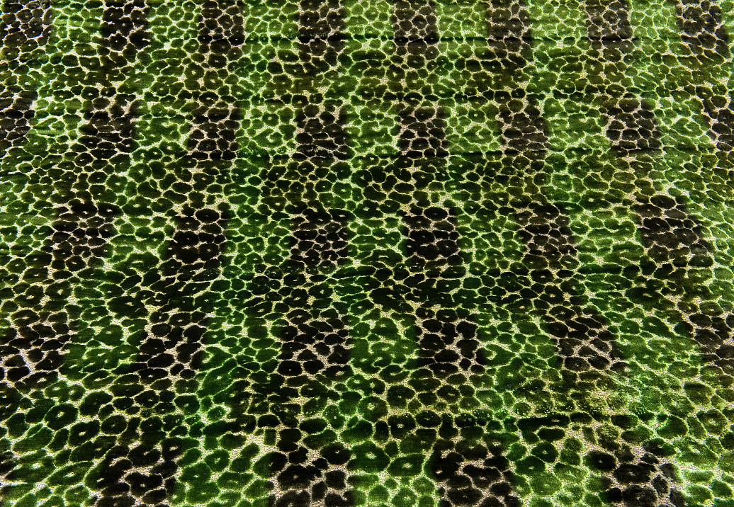 Ткань Designers Guild Zambelli F2029/02
