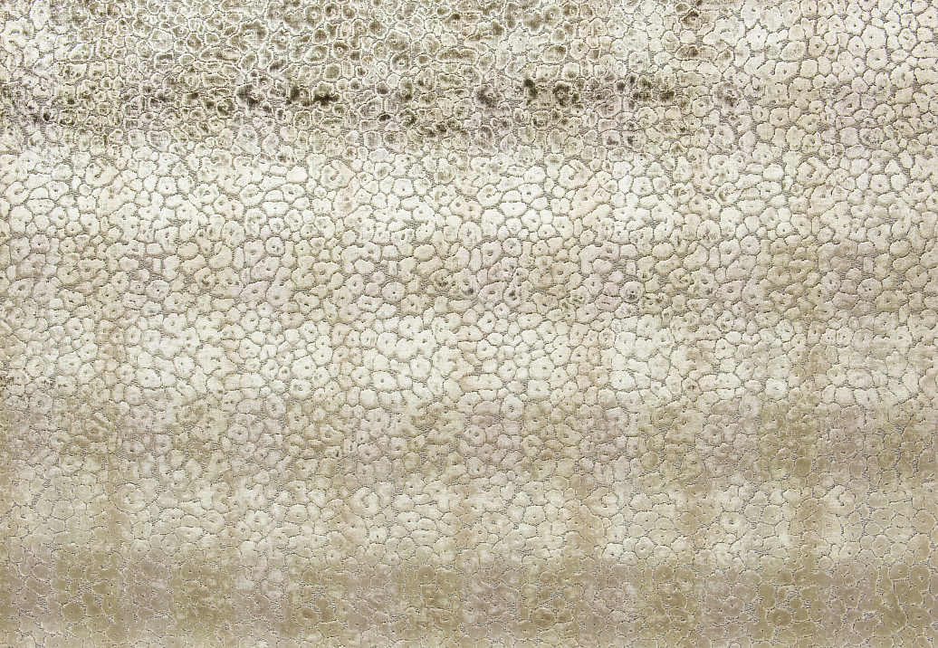 Ткань Designers Guild Zambelli F2029/05