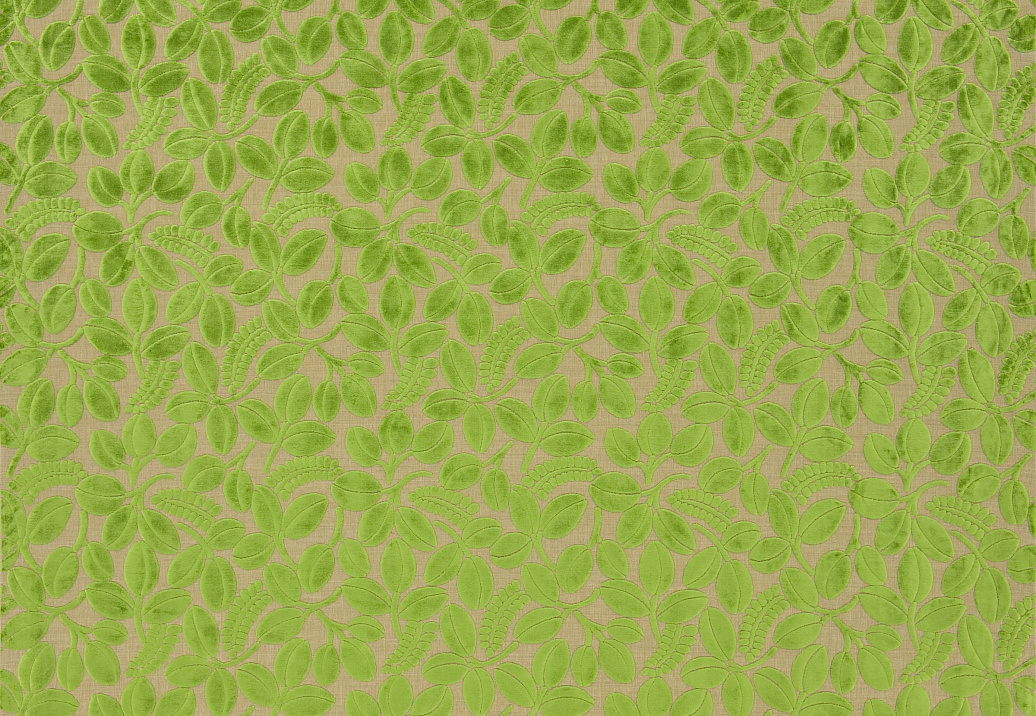 Ткань Designers Guild Savio F2105/02