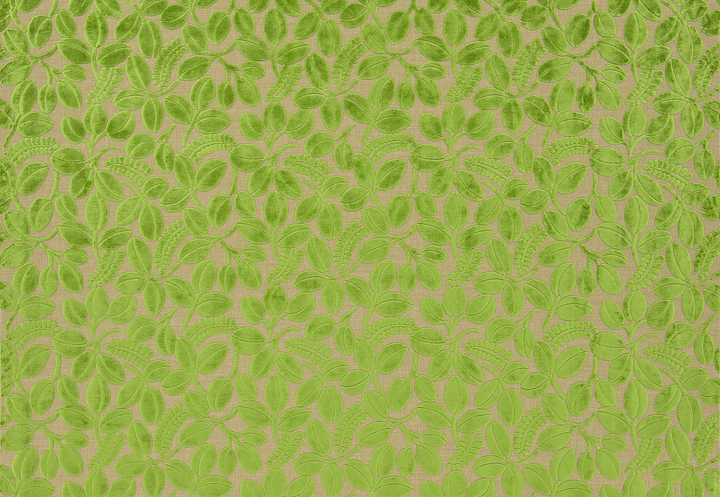 Ткань Designers Guild Savio F2105/02
