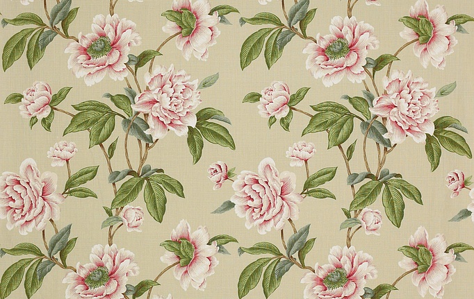 Английская ткань Colefax and Fowler, коллекция Casimir, артикул F4230/04