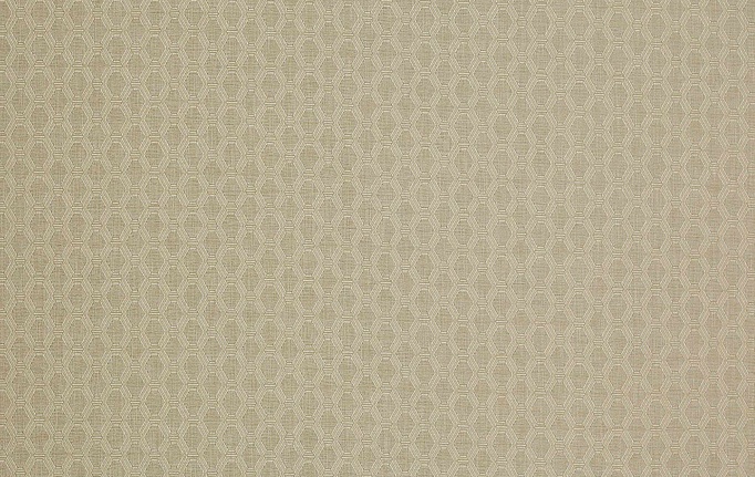 Английская ткань Colefax and Fowler, коллекция Shaw, артикул F4335/01