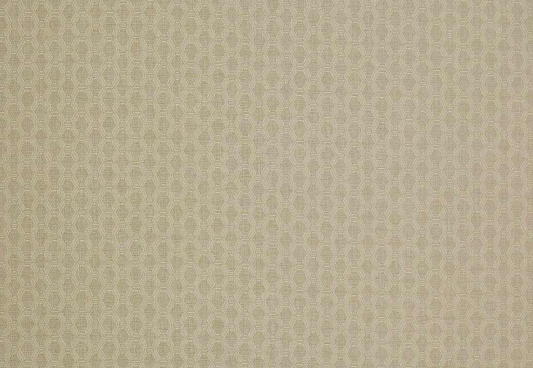 Ткань Colefax and Fowler Shaw F4335/01