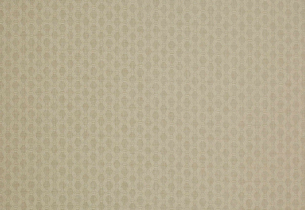 Ткань Colefax and Fowler Shaw F4335/01