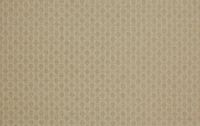 Английская ткань Colefax and Fowler, коллекция Shaw, артикул F4335/02