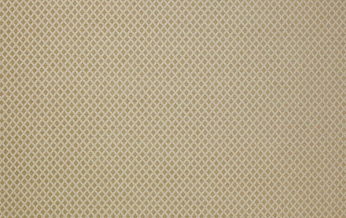 Английская ткань Colefax and Fowler, коллекция Shaw, артикул F4336/01