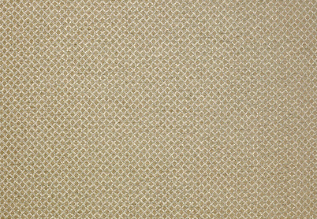 Ткань Colefax and Fowler Shaw F4336/01