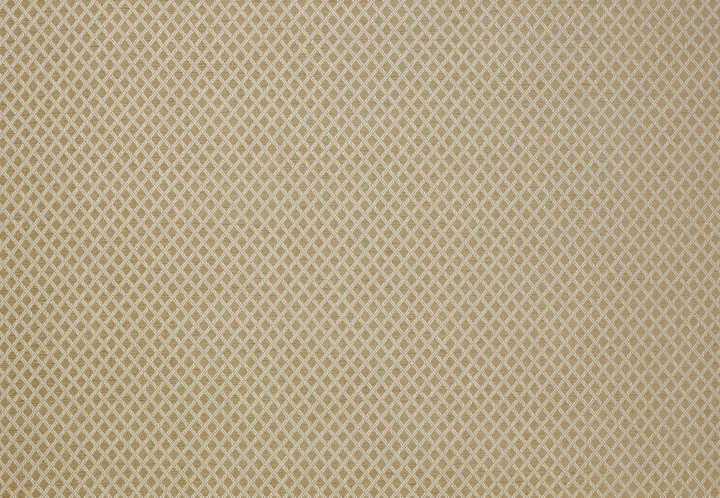 Ткань Colefax and Fowler Shaw F4336/01