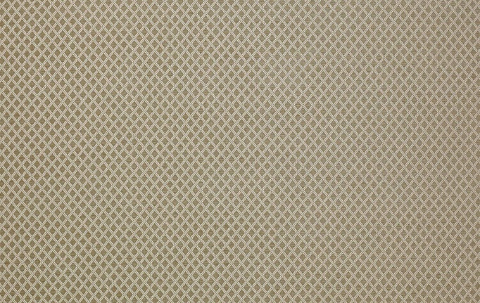 Английская ткань Colefax and Fowler, коллекция Shaw, артикул F4336/03