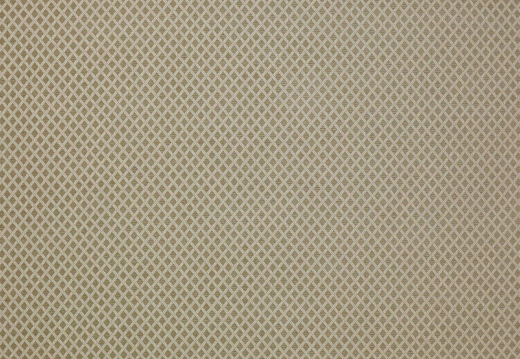Ткань Colefax and Fowler Shaw F4336/03