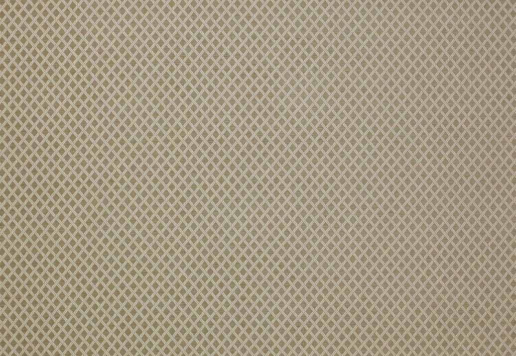 Ткань Colefax and Fowler Shaw F4336/03