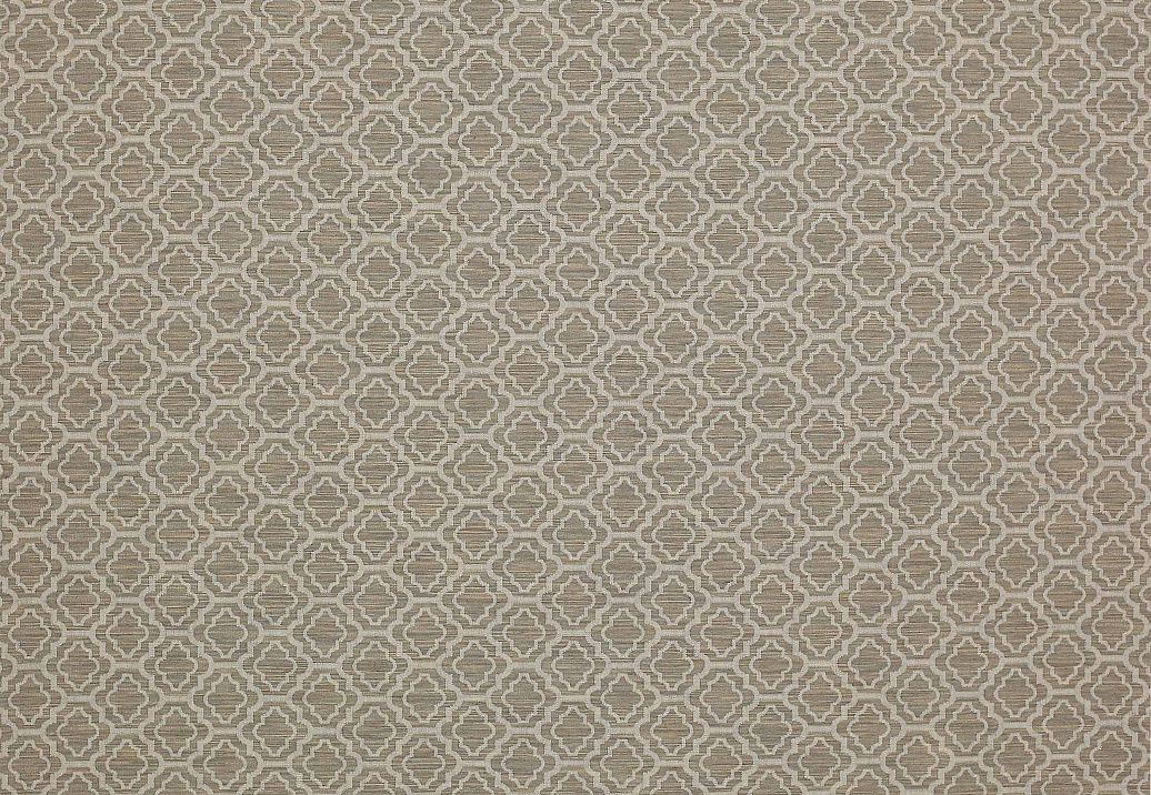 Ткань Colefax and Fowler Shaw F4339/01