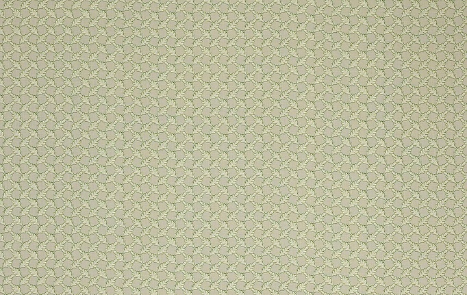 Английская ткань Colefax and Fowler, коллекция Oaken, артикул F4352/01