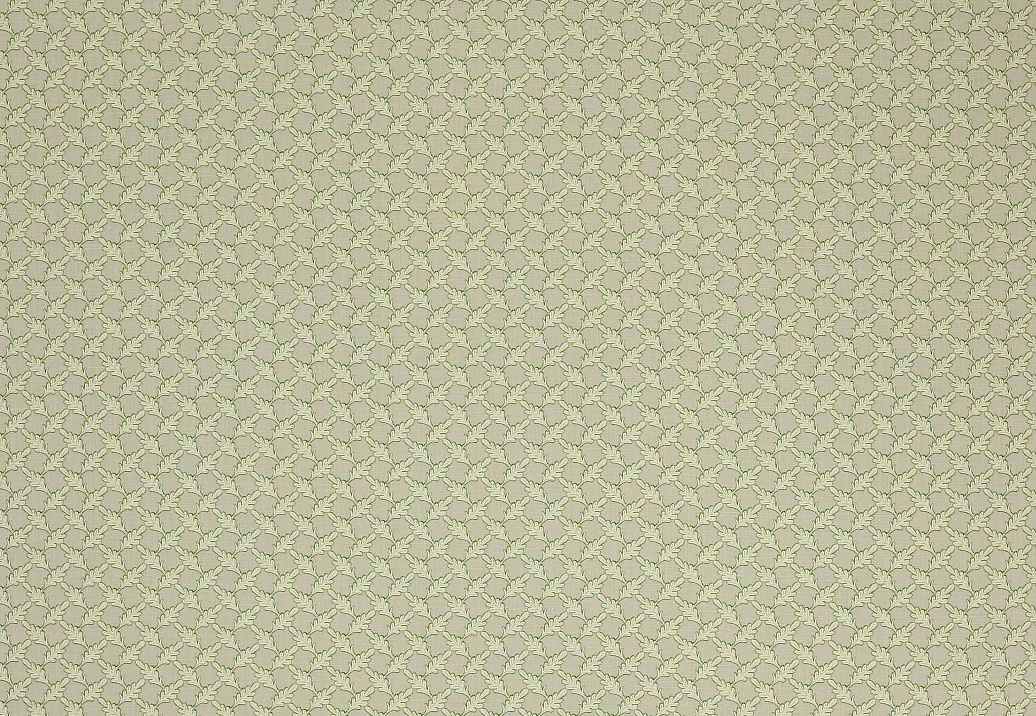 Ткань Colefax and Fowler Oaken F4352/01