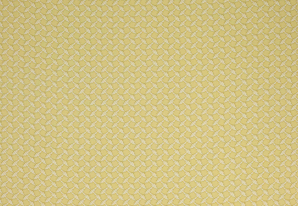 Ткань Colefax and Fowler Oaken F4352/02