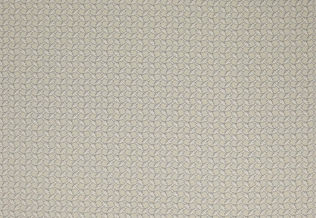 Ткань Colefax and Fowler Oaken F4352/05