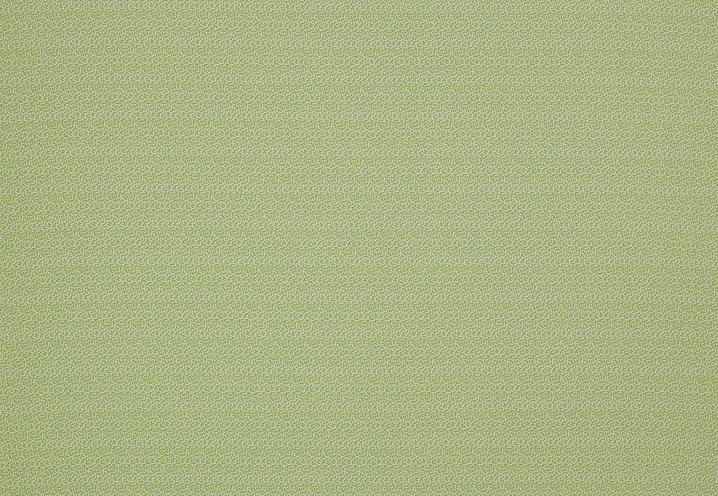 Ткань Colefax and Fowler Oaken F4354/02