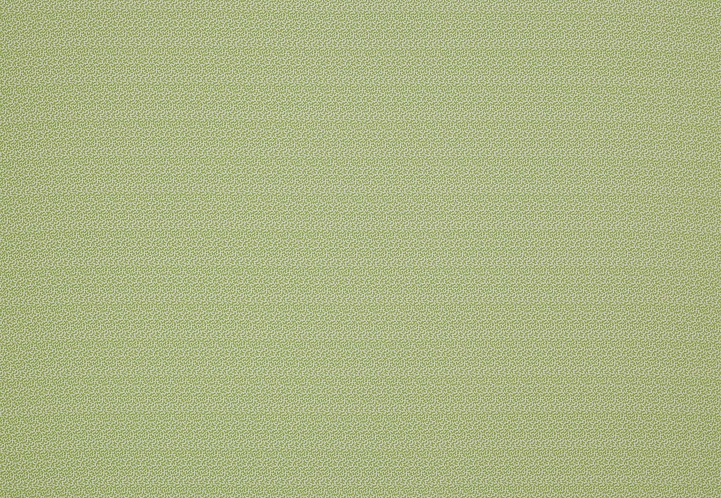 Ткань Colefax and Fowler Oaken F4354/02