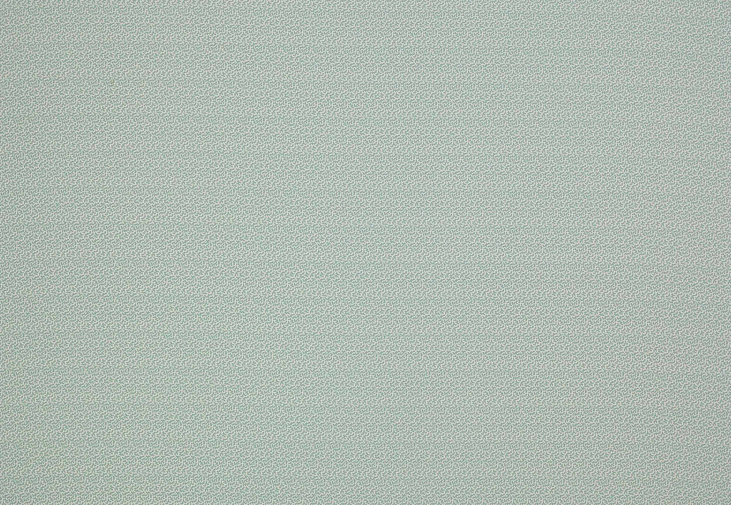 Ткань Colefax and Fowler Oaken F4354/03