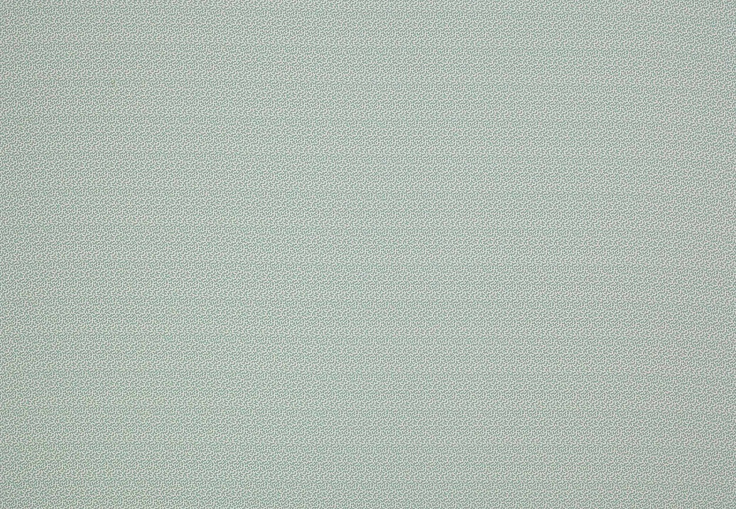 Ткань Colefax and Fowler Oaken F4354/03