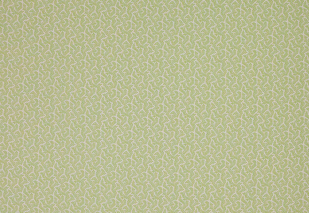 Ткань Colefax and Fowler Oaken F4355/02