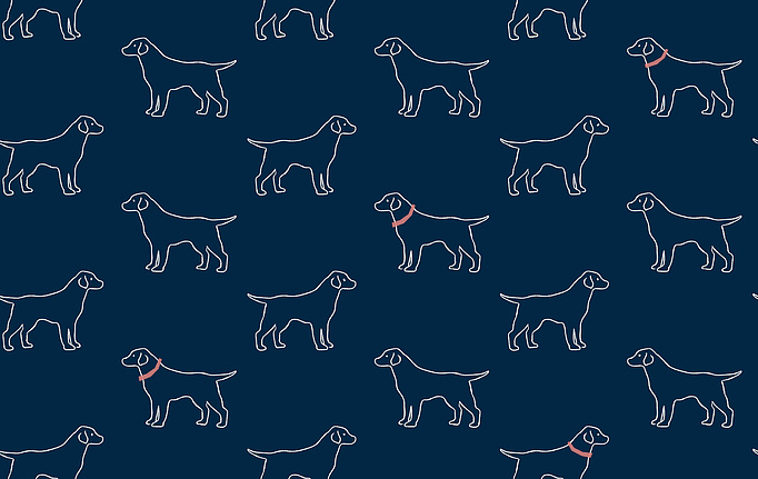 Американские обои Wallquest, коллекция Flora&Fauna, артикул 3122-10402