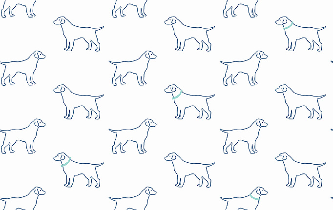 Американские обои Wallquest, коллекция Flora&Fauna, артикул 3122-10404