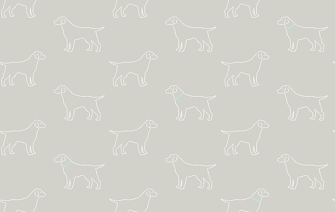 Американские обои Wallquest, коллекция Flora&Fauna, артикул 3122-10414