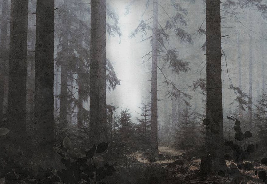 Панно и фотообои Skinwall Suite Collection 717