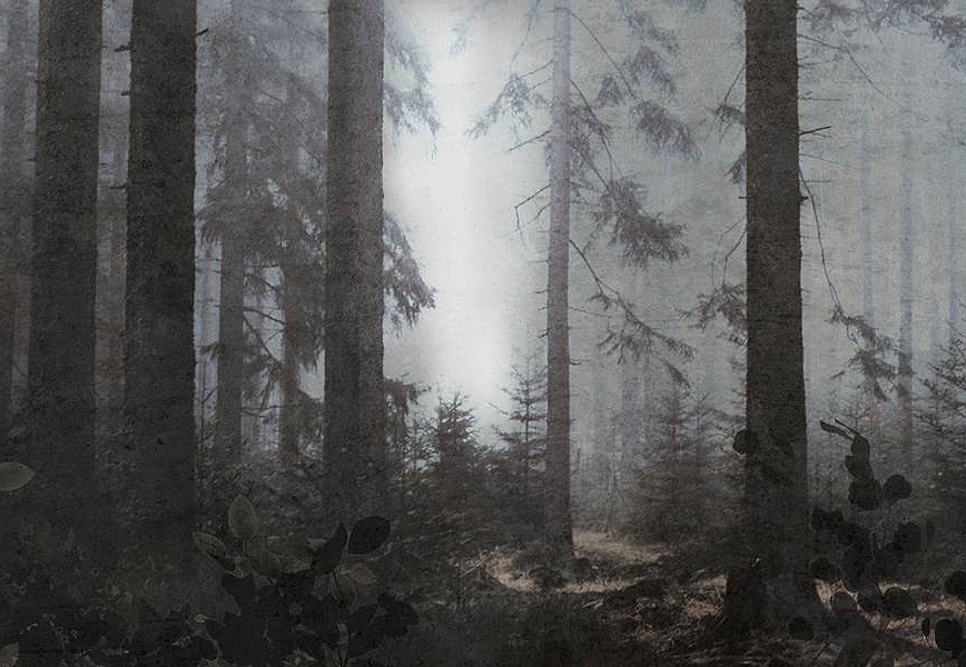 Панно и фотообои Skinwall Suite Collection 717