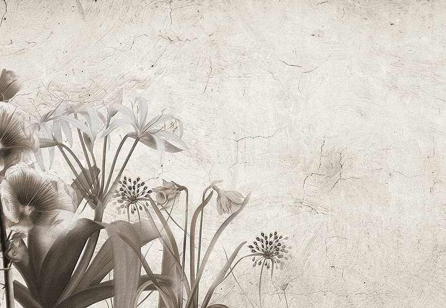 Панно и фотообои Skinwall Suite Collection 727
