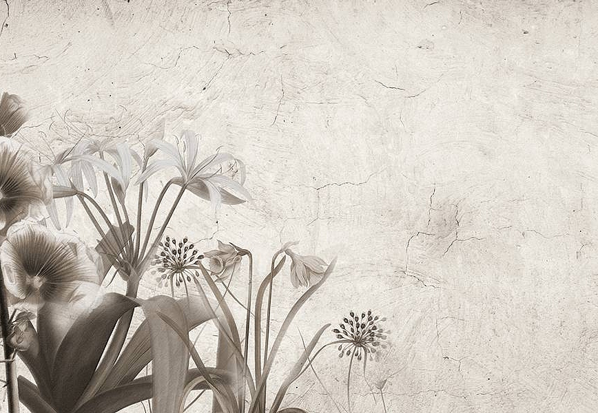Панно и фотообои Skinwall Suite Collection 727
