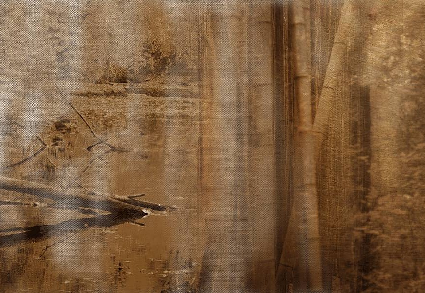 Панно и фотообои Skinwall Suite Collection 737A
