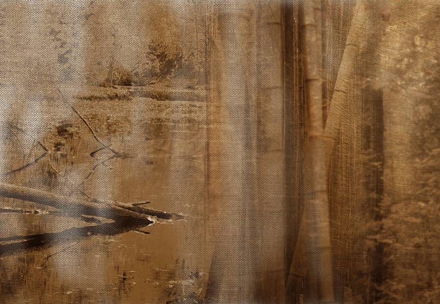 Панно и фотообои Skinwall Suite Collection 737A