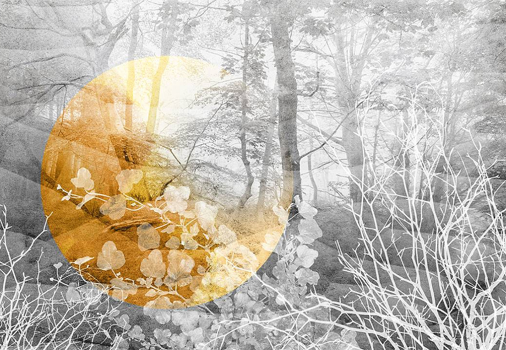 Панно и фотообои Skinwall Contemporary Collection 120