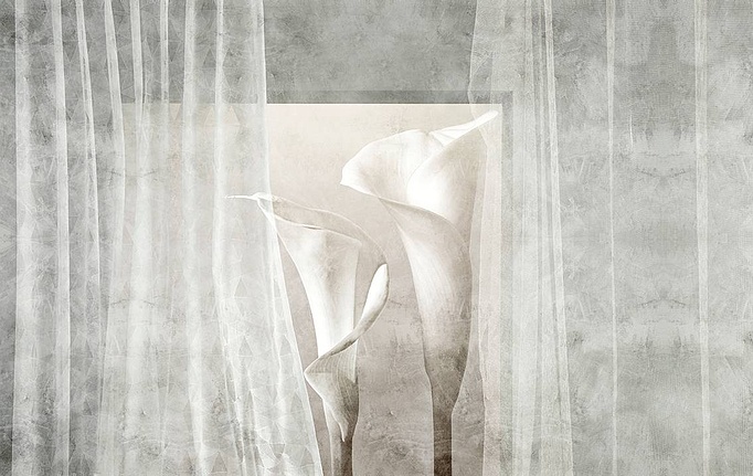Итальянские панно и фотообои Skinwall, коллекция Contemporary Collection, артикул 122