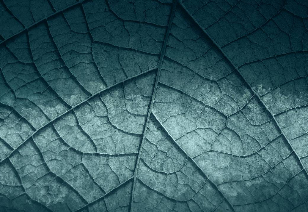 Панно и фотообои Skinwall Contemporary Collection 125A