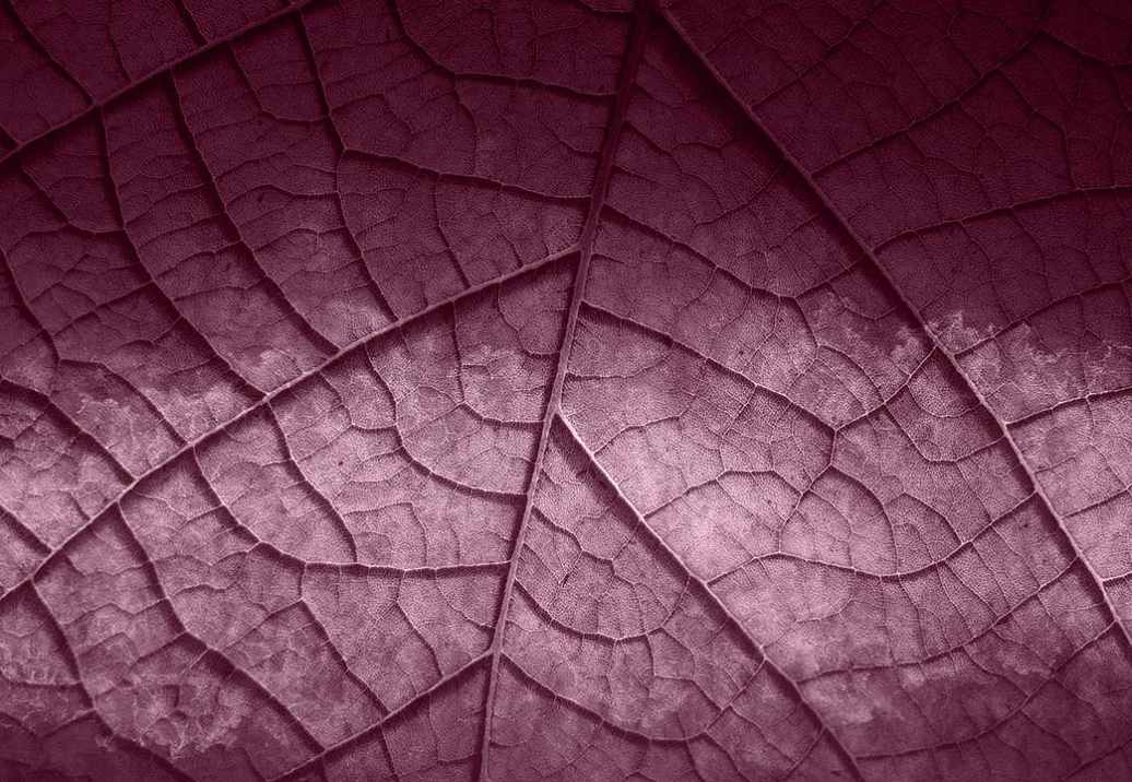 Панно и фотообои Skinwall Contemporary Collection 125B