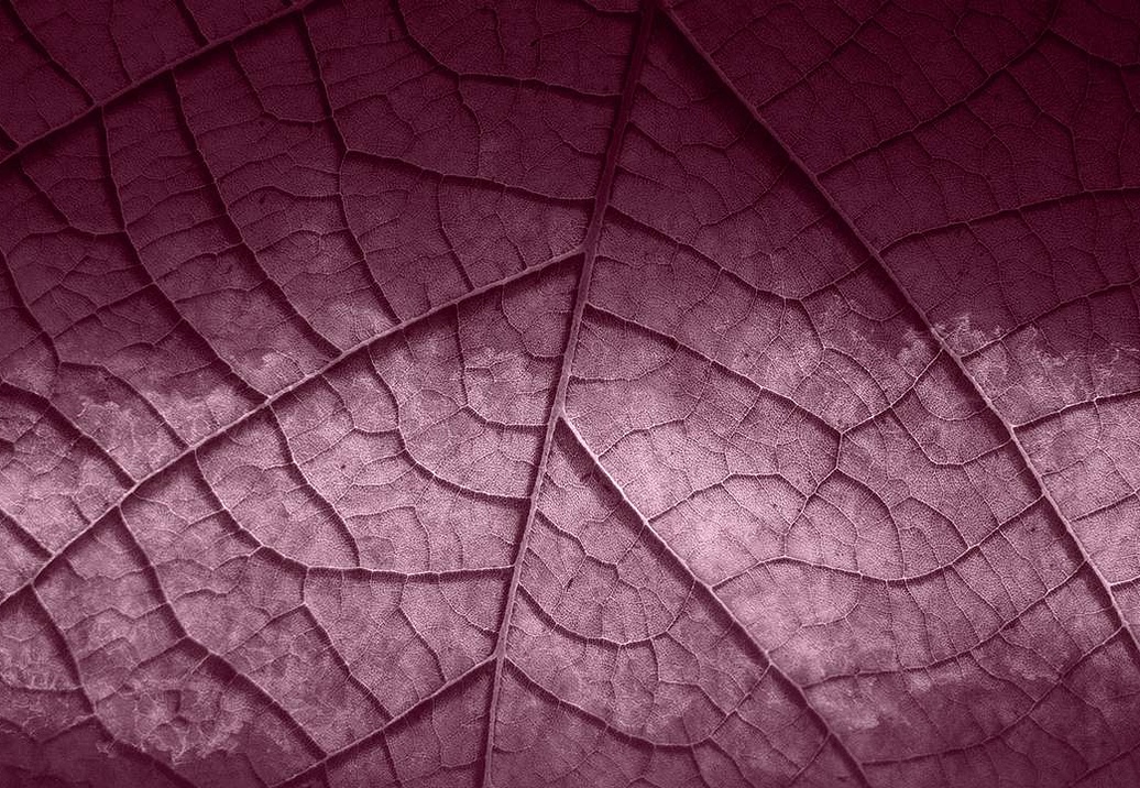 Панно и фотообои Skinwall Contemporary Collection 125B