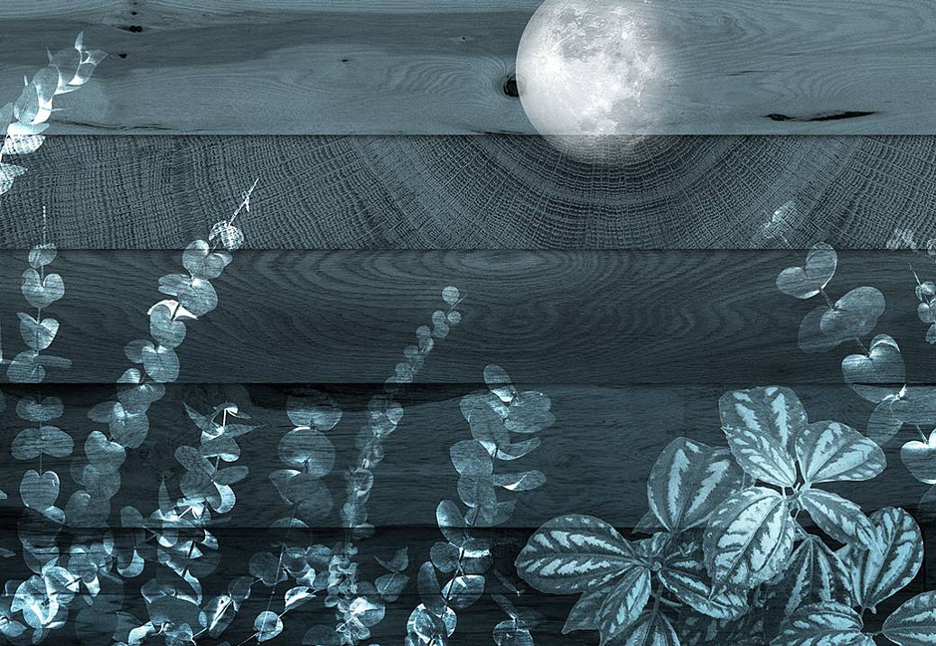 Панно и фотообои Skinwall Contemporary Collection 129