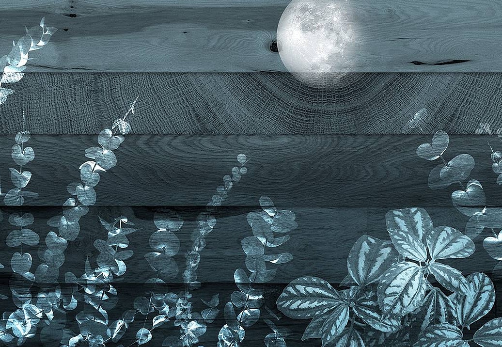 Панно и фотообои Skinwall Contemporary Collection 129