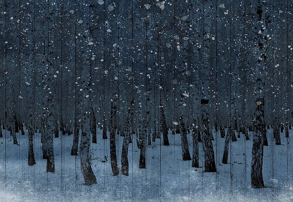 Панно и фотообои Skinwall Contemporary Collection 99