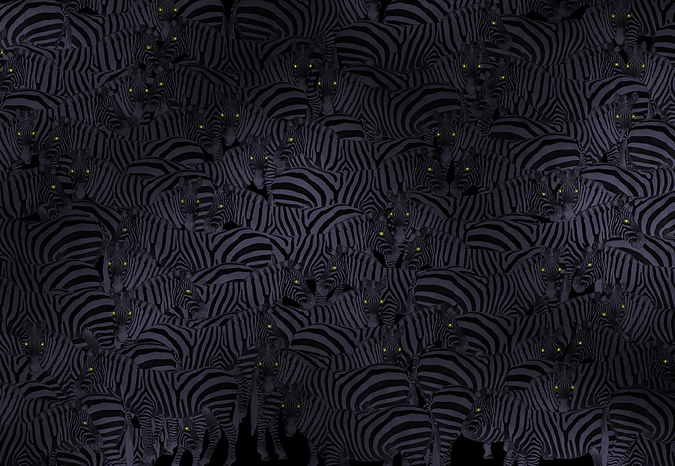Панно и фотообои Skinwall Contemporary Collection 106