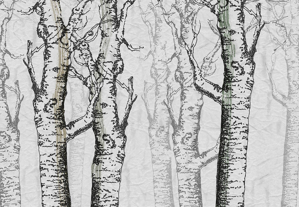 Панно и фотообои Skinwall Contemporary Collection 04A