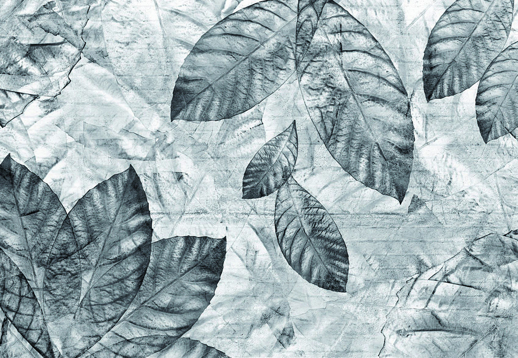 Панно и фотообои Skinwall Contemporary Collection 05B