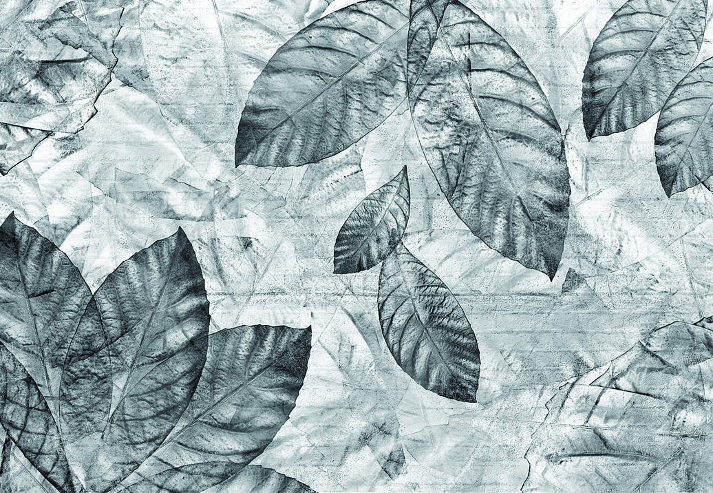 Панно и фотообои Skinwall Contemporary Collection 05B