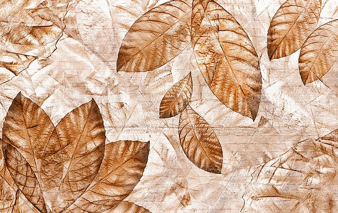 Итальянские панно и фотообои Skinwall, коллекция Contemporary Collection, артикул 05C