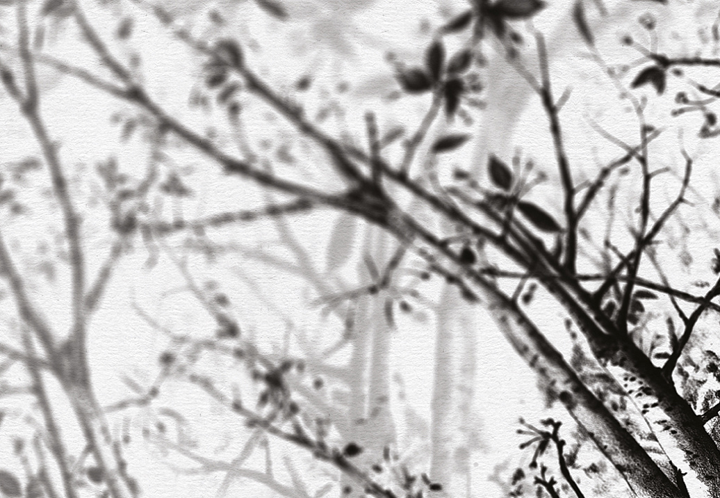 Панно и фотообои Skinwall Contemporary Collection 55