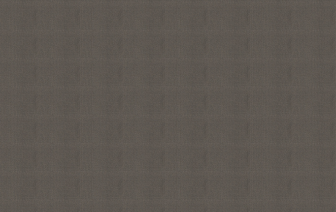 Итальянские панно и фотообои Skinwall, коллекция Coordinated Collection, артикул VW4006B