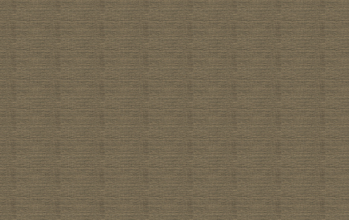 Итальянские панно и фотообои Skinwall, коллекция Coordinated Collection, артикул VW4008B